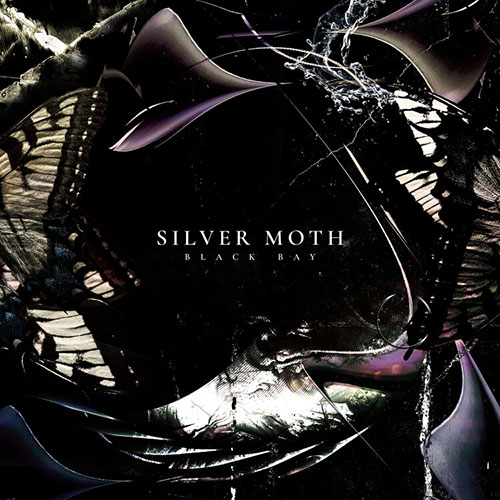 Silver Moth